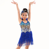 Latin Dance Dress Sequin Tassel Girls