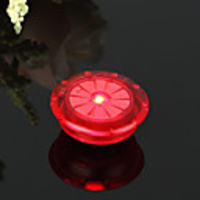 LED Bike Light Decoration Light Bicycle Cycling Portable Durable Lightweight Button Battery 100 lm Red Blue Green Cycling / Bike
