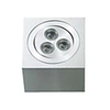 LED Ceiling Light (1049-CSS113-AL-3WH)