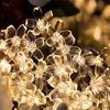 LED Cherry Blossom Fairy Light 10M String Waterproof 100 LEDs String Fairy Lights Waterproof Crystal Flowers Garland Outdoor Wedding Decoration miniinthebox