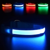 LED Dog Collar USB Rechargeable Nylon Dog Flashing Collar Adjustable with Steady Flash Blink Light miniinthebox