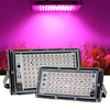 LED Grow Light 50W 100W LED Full Spectrum Phyto Lamp Floodlight Indoor Outdoor Greenhouse Hydroponic Plant Flowers Seedlings Growth Lighting AC220V 230V 240V miniinthebox