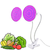 LED Grow Light Phytolamp for Plant Lamp Full Spectrum Grow Tent Lights Lamp with EU US Plug Indoor Lighting Hydroponic miniinthebox