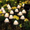 LED String Light 5m 3.5m String Lights 10 20 LEDs 1 Set Warm White Multi Color Christmas New Year