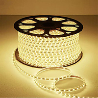 LED Strip Light 220V-240V 5050 High Safety High Brightness Flexible LED Light Outdoor Waterproof LED Strip Light miniinthebox