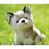 LeGou 50cm Mr. Peabody Stuffed Toy