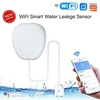 LifeSmart Smart Switch JMX005 for Kitchen / Washroom / Study APP Control / Sensor / Smart Wireless 