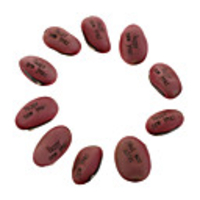 Magic Bean (Assorted Messages 10-Pack)