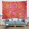 Mandala Bohemian Wall Tapestry Art Decor Blanket Curtain Picnic Tablecloth Hanging Home Bedroom Living Room Dorm Decoration Boho Hippie Polyester Colorful