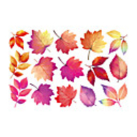 Maple Leaves Self Adhesive Wall Stickers Creative Children