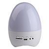 Mega Bass Color Changing Light FM Speaker with USB and SD Card Slot