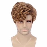 Men Short Wigs Male Guy Layered Wavy Fluffy Halloween Cosplay Party Brown miniinthebox