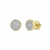 men women iced out 18k gold/rhodium finish lab diamond cz screw back stud earnings 6mm aretes para hombre - men