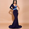 Mermaid / Trumpet Color Block Sexy Prom Formal Evening Dress One Shoulder Long Sleeve Sweep / Brush Train Spandex with Sleek 2020