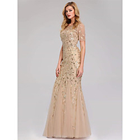 Mermaid / Trumpet Empire Elegant Party Wear Formal Evening Dress Jewel Neck Short Sleeve Floor Length Tulle with Embroidery 2021 miniinthebox