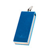 Metal Case USB Flash/Jump Drive Keychain (2GB)