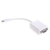 Mini DisplayPort Male to VGA Female Adapter (1080p)