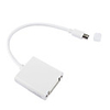 Mini Displayport to DVI Adapter
