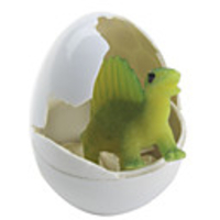 Mini Growing Dinosaur Egg