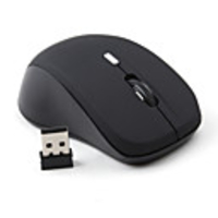 Mini USB Wireless Optical Mouse (Black)