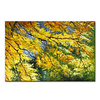 Mintura Large Size Hand Painted Trees Landscape Oil Painting on Canvas Modern Abstract Wall Art Picture For Home Decoration No Framed