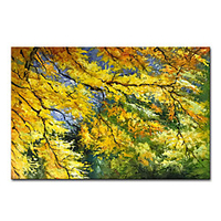 Mintura Large Size Hand Painted Trees Landscape Oil Painting on Canvas Modern Abstract Wall Art Picture For Home Decoration No Framed