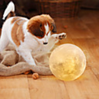 Moon Lamp LED Night Light 3D Globe Brightness Batteries Powered Home Decorative for Baby kid New year Christmas gift wooden stand 10cm10cm