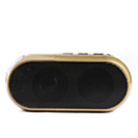 Multi Portable Spesker with USB/TF Card (Black)
