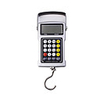 Multifunction Electron Fishhook Scale 7in1 Silver
