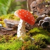 Mushrooms Decorative Objects Resin Modern Contemporary for Home Decoration Gifts 1pc miniinthebox