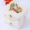 Music Box Musical Jewellery Box Cute Singing Lovely Unique Plastic Shell Women