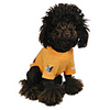 Netherlands National Football Shirt for Dogs (XS-XXL)