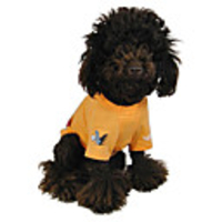 Netherlands National Football Shirt for Dogs (XS-XXL)