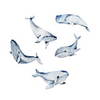 New Cartoon Stickers Whale Self Adhesive Wall Stickers Creative Children