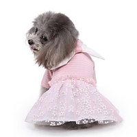 New Pet Dog Stripes Cute Princess Skirt Summer Small Dog Clothes Spring and Autumn Clothing miniinthebox
