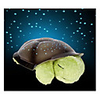 New Tortoise Star Projector(GD-0704)