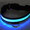 Nightlight Flashing Pet Leash (Blue)