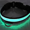 Nightlight Flashing Pet Leash (Green)