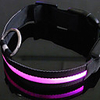 Nightlight Flashing Pet Leash (Pink)
