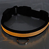 Nightlight Flashing Pet Leash (Yellow)