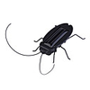 Novel Solar Powered Cockroach (Black)