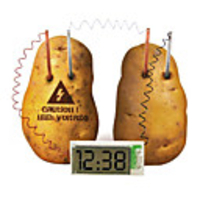 Novelty Potato Powered Clock