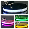 Nylon LED Light Dog Leash (120cm,  Assorted Colors)