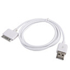 OEM Premium USB 2.0 Data Charging Cable for iPhone 3G