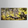 Oil Painting Hand Painted - Abstract / Still Life / Floral / Botanical Classic / Pastoral / Modern Canvas