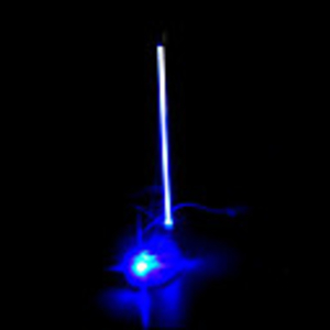 Orange Plasma Neon DJ Light Lamp Sound Music Activated (TRA393)