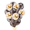 Party Balloons 30 pcs Fashion Party Supplies Latex Balloons Boys and Girls Party Birthday Decoration 12 Inch for Party Favors Supplies or Home Decoration