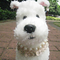 Party Queen Pearl Necklace for Dogs (S-L)