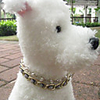 Pearl Beauty Necklace for Dogs (S-L)