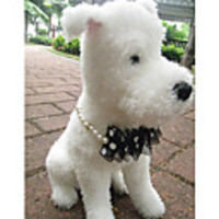 Pearl with Organza Necklace for Dogs (S-L,  Assorted Colors)